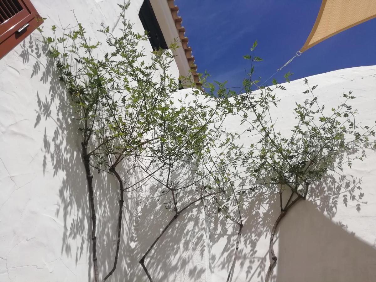 شقة Two Lofts ماتالاسكانياس المظهر الخارجي الصورة